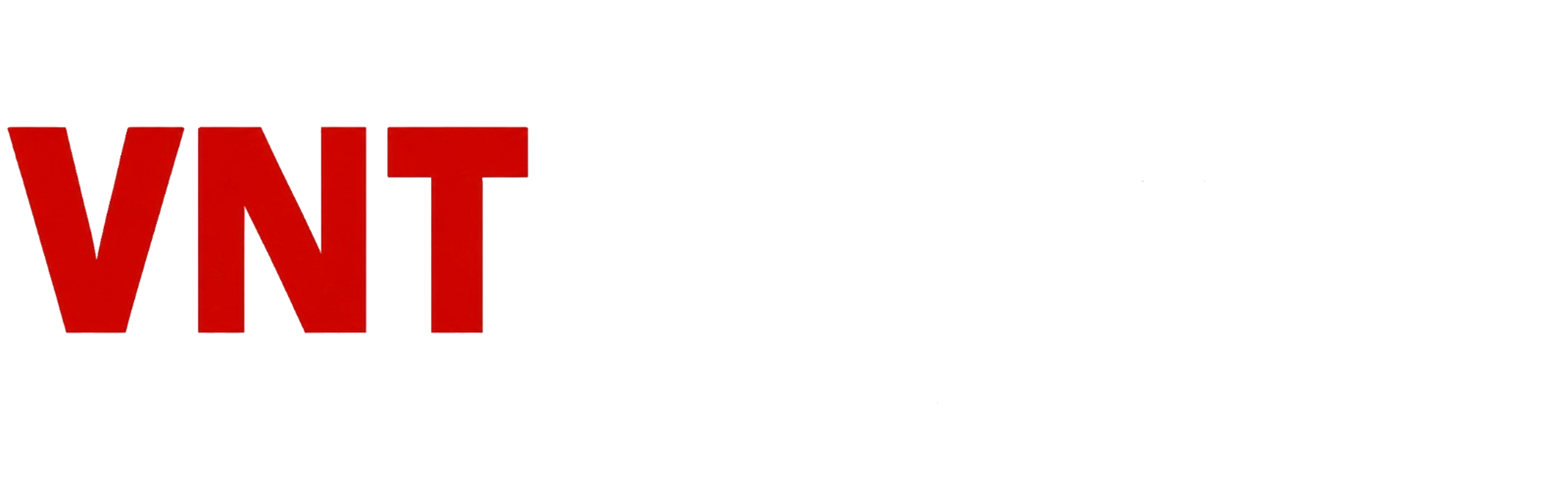 VNT Holdings — Fast Track System